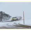 DSC_8669 Kopie